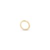 NOSE HOOP RING