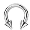 SEPTUM RING